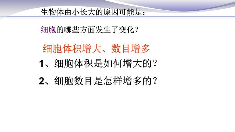 2.2.1 细胞通过分裂产生新细胞 课件 人教版七年级上册生物06