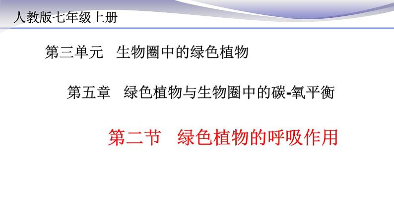 3.5.2 绿色植物的呼吸作用 课件 人教版七年级上册生物第3页