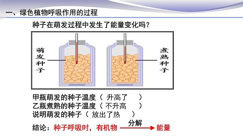 3.5.2 绿色植物的呼吸作用 课件 人教版七年级上册生物第5页