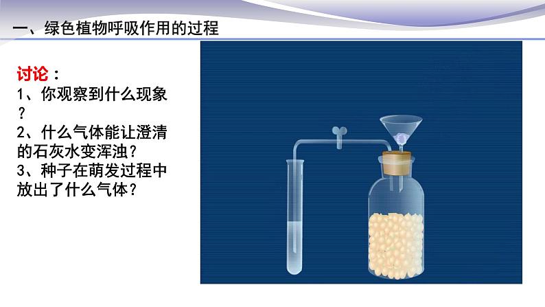 3.5.2 绿色植物的呼吸作用 课件 人教版七年级上册生物第6页
