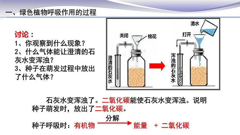 3.5.2 绿色植物的呼吸作用 课件 人教版七年级上册生物第7页