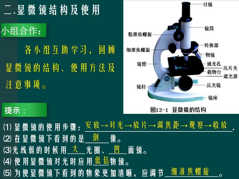 苏科版生物七年级下册课件：第8章 生物体有相同的基本结构  第1节  生物体的基本结构（课时1）(共24张PPT)07