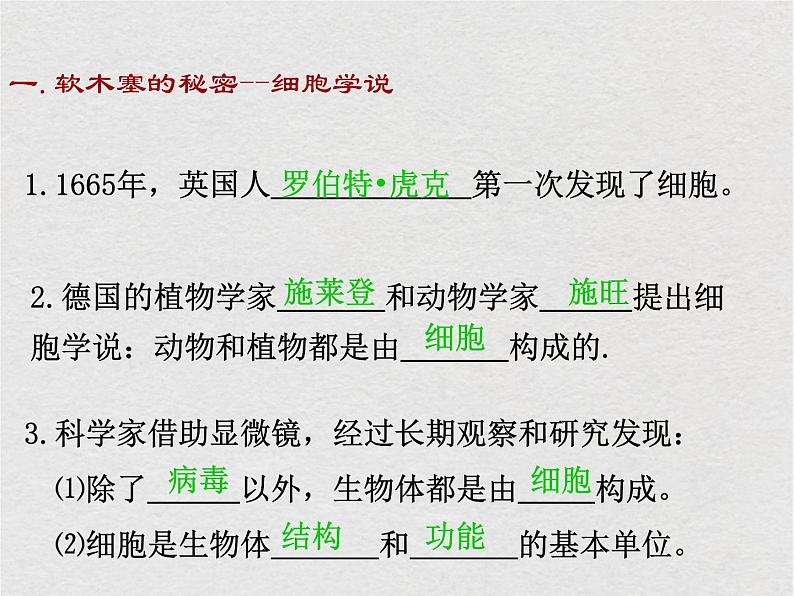 苏科版生物七年级下册课件:第8章 生物体有相同的基本结构 复习(共29张PPT)03