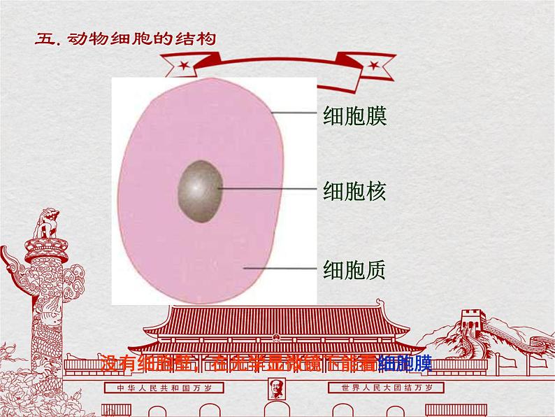 苏科版生物七年级下册课件:第8章 生物体有相同的基本结构 复习(共29张PPT)08