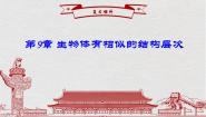 初中生物苏科版七年级下册第9章 生物体有相似的结构层次综合与测试复习课件ppt