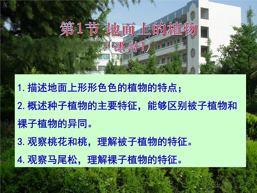 第11章 地面上的生物 第1節(jié) 地面上的植物(1)第1頁