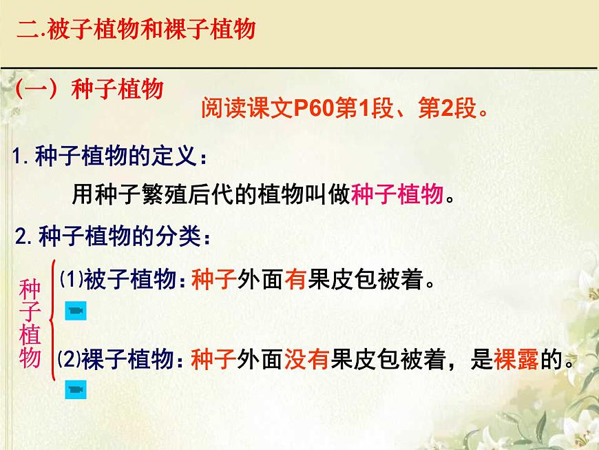 第11章 地面上的生物 第1節(jié) 地面上的植物(1)第3頁