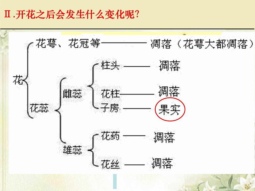第11章 地面上的生物 第1節(jié) 地面上的植物(1)第7頁