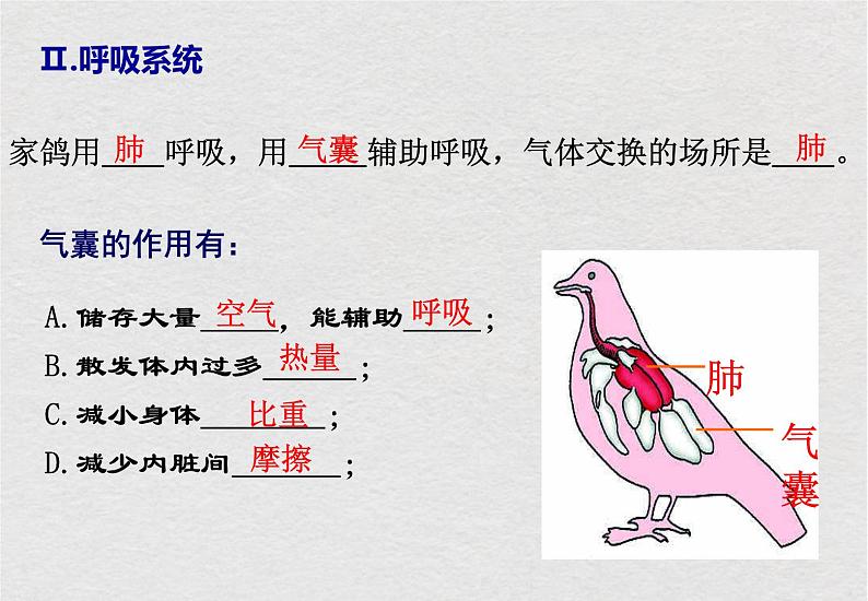 苏科版生物七年级下册课件:第12章 空中的生物 复习(共19张PPT)第7页