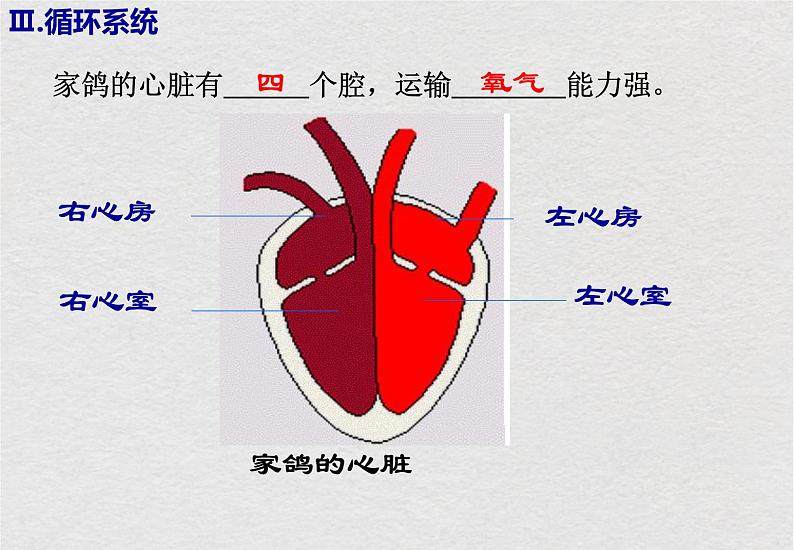 苏科版生物七年级下册课件:第12章 空中的生物 复习(共19张PPT)第8页