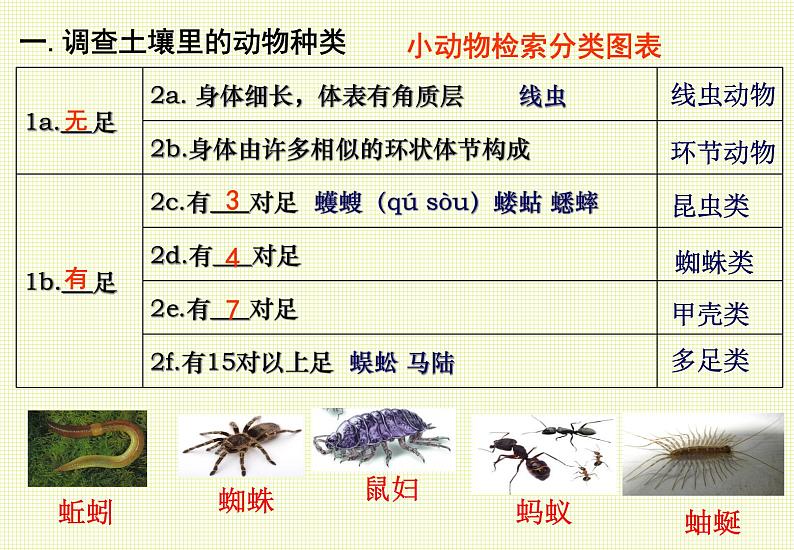 第13章 土壤里的生物 第1节 土壤中的小动物第2页