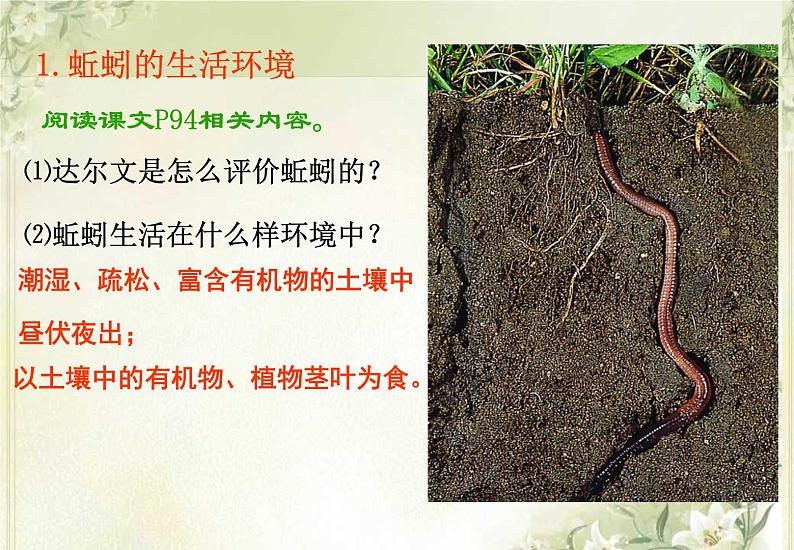 第13章 土壤里的生物 第1节 土壤中的小动物第4页