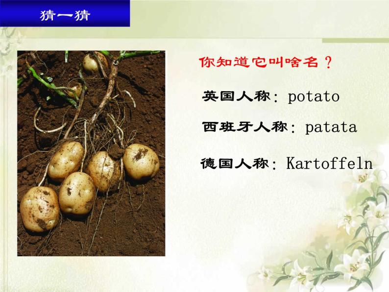 苏科版生物七年级下册课件：第14章 生物的命名和分类 第1节 生物的命名和分类 (课时1) (共19张PPT)04