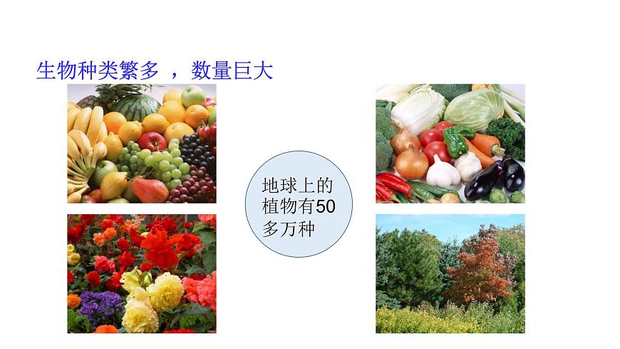 1.1  我們周圍的生物 教學課件 蘇教版七年級生物上冊第6頁