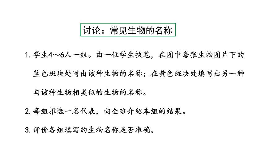 1.1  我們周圍的生物 教學課件 蘇教版七年級生物上冊第8頁