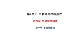 4.1 单细胞生物 教学课件 苏教版七年级生物上册