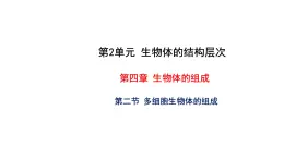 4.2 多细胞生物体的组成 教学课件 苏教版七年级生物上册