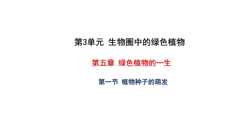 5.1 植物种子的萌发 教学课件 苏教版七年级生物上册01