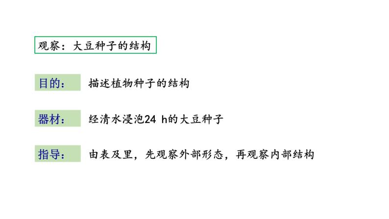 5.1 植物种子的萌发 教学课件 苏教版七年级生物上册04