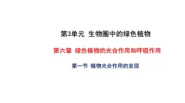 6.1 植物光合作用的发现 教学课件 苏教版七年级生物上册