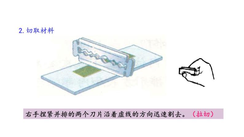 6.2 植物光合作用的场所 教学课件 苏教版七年级生物上册07