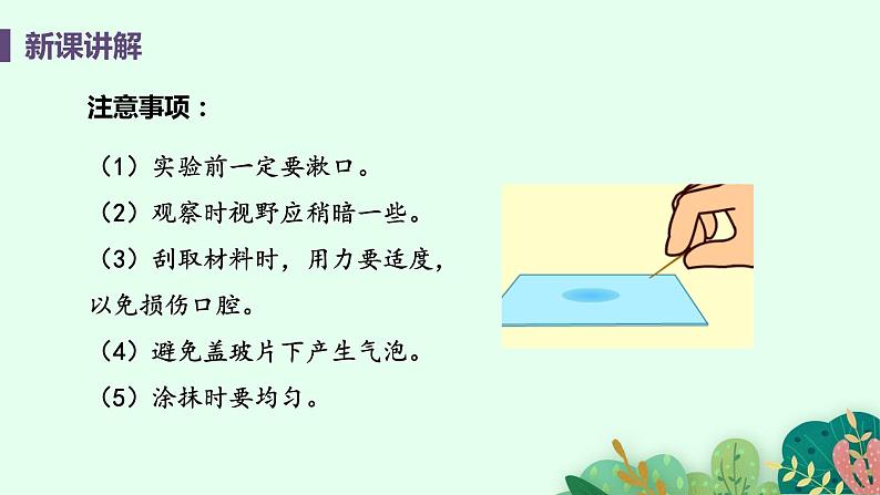 2021年初中生物人教版七年级上册 2.1.3 动物细胞 课件08