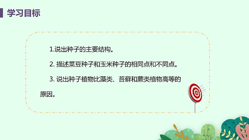 2021年初中生物人教版七年级上册 3.1.2 种子植物 课件第3页