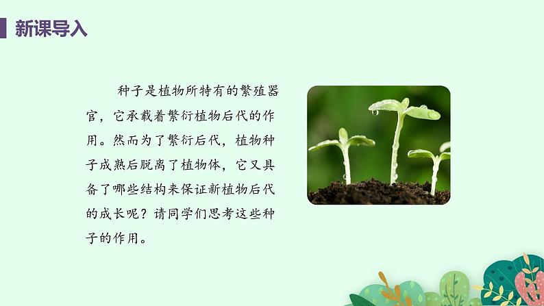 2021年初中生物人教版七年级上册 3.1.2 种子植物 课件第4页