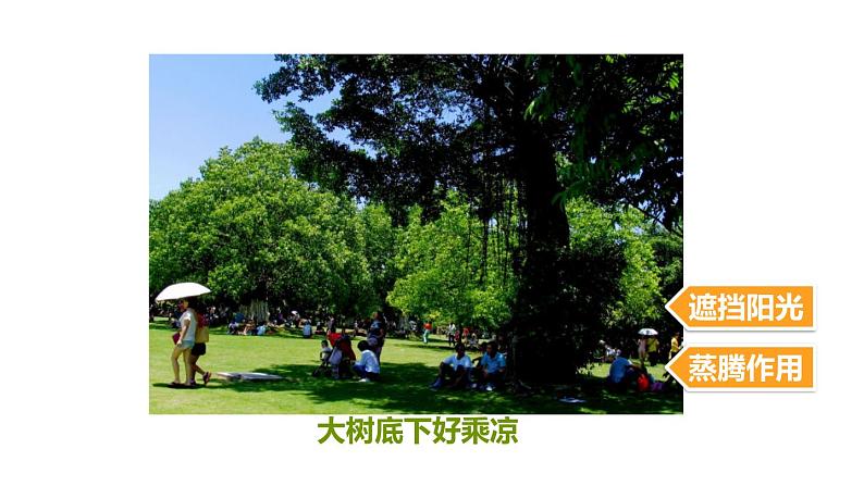 生物-课时--第三章绿色植物与生物圈的水循环课件PPT第2页