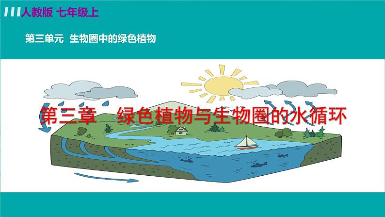 生物-课时--第三章绿色植物与生物圈的水循环课件PPT第3页