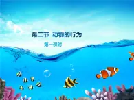 北京版八年级上册生物《动物的行为》第一课时授课课件