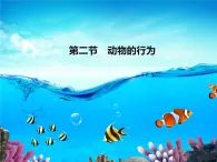 北京版八年级上册生物《动物的行为》授课课件