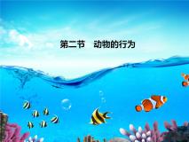 初中生物北京版八年级上册第二节 动物的行为授课ppt课件