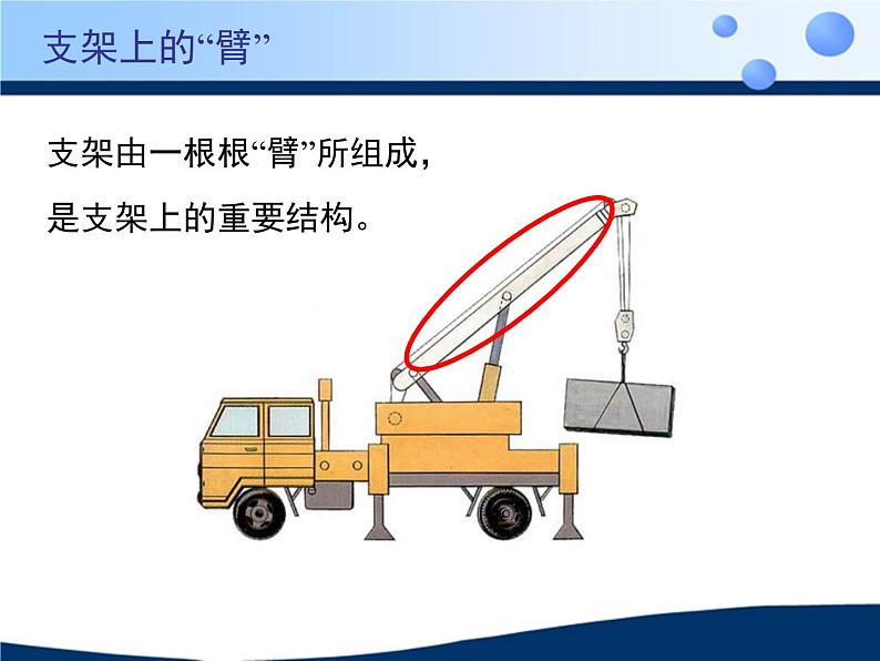 北京版八年级上册生物《动物的运动》授课课件2第3页