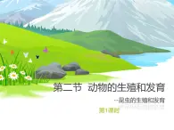 北京版八年级上册生物《动物的生殖和发育》第1课时授课课件