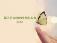 动物的生殖和发育PPT课件免费下载