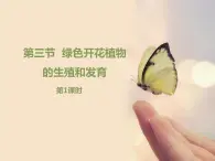 北京版八年级上册生物《绿色开花植物的生殖和发育》第1课时优教课件