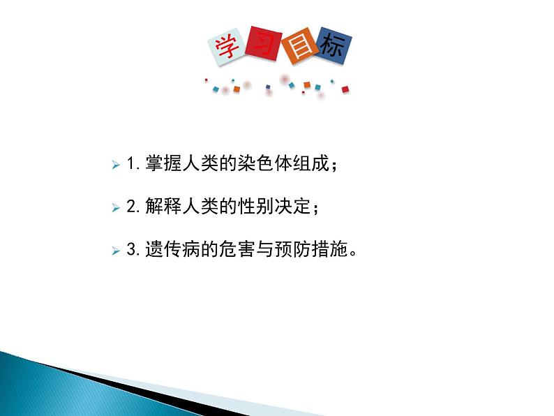人类的遗传PPT课件免费下载03
