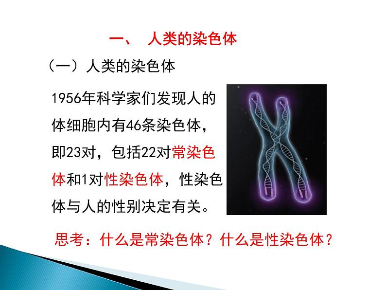 人类的遗传PPT课件免费下载04