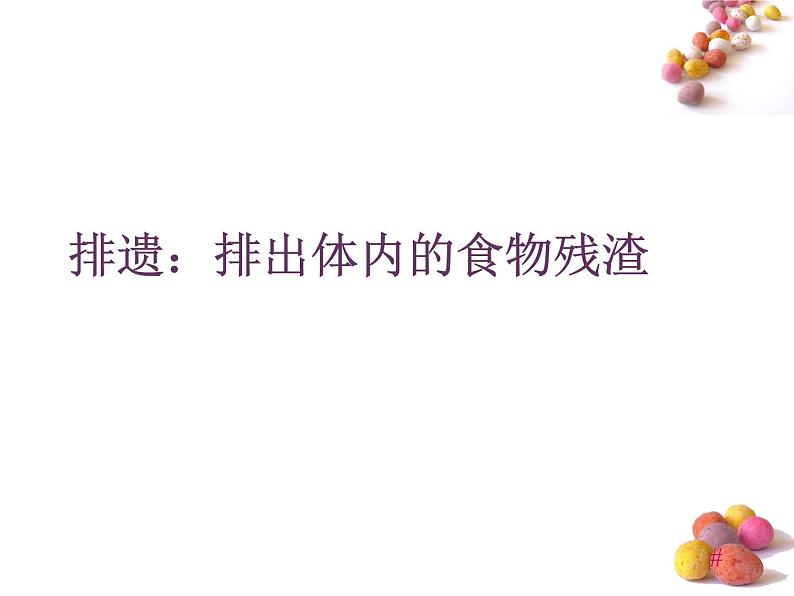 人体内废物的排出PPT课件免费下载04