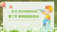 初中生物北師大版七年級(jí)上冊(cè)第三單元 生物圈中的綠色植物第6章 綠色開(kāi)花植物的生活史第2節(jié) 營(yíng)養(yǎng)器官的生長(zhǎng)圖片課件ppt