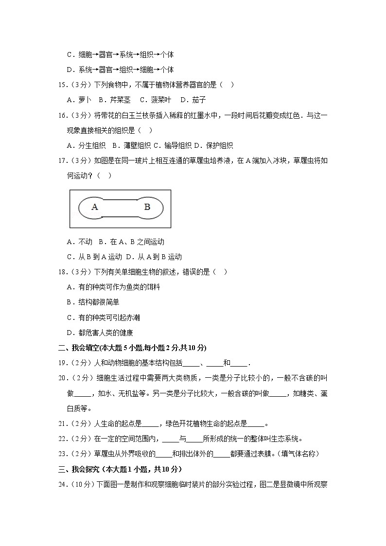 2018-2019学年陕西省榆林市靖边县东坑中学七年级(上)期中生物试卷(含解析)第3页