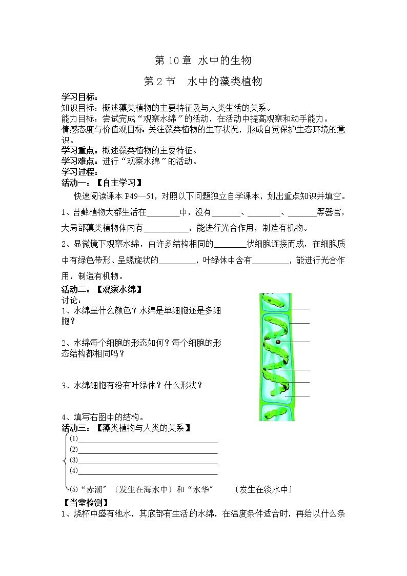 苏科版生物七年级下册 5.10.2 水中的藻类植物 导学案第1页