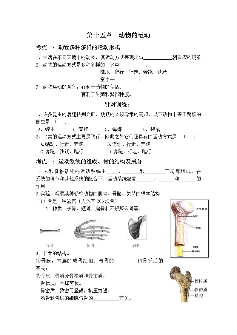 北师大版八年级上册初中生物第15章 动物的运动 导学案01