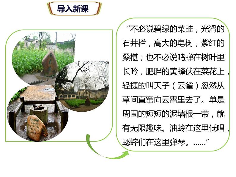 人教版生物七年级上册第二节调查周边环境中的生物(课件)(1)02