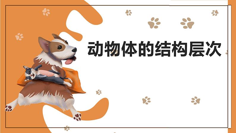 (人教七上)2.2.2 动物体的结构层次 by 布林课件PPT第1页