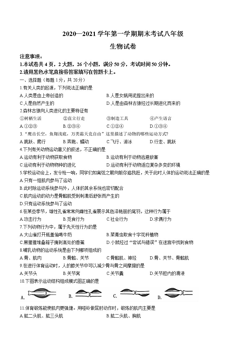 河南省洛阳市嵩县2020-2021学年八年级上学期期末生物试题(word版含答案)第1页