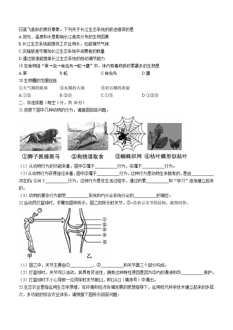 河南省洛阳市嵩县2020-2021学年八年级上学期期末生物试题(word版含答案)第3页