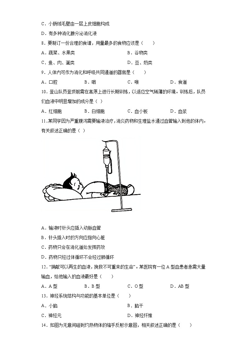 吉林省长春市长春净月高新区2020-2021学年七年级下学期期末生物试题(word版 含答案)第2页