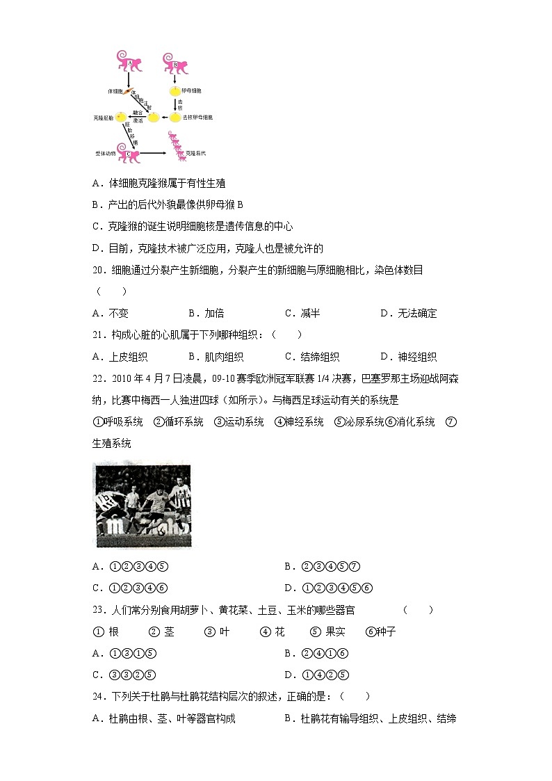 陜西省西安市長安區(qū)2020-2021學(xué)年七年級上學(xué)期期中生物試題(word版 含答案)第3頁